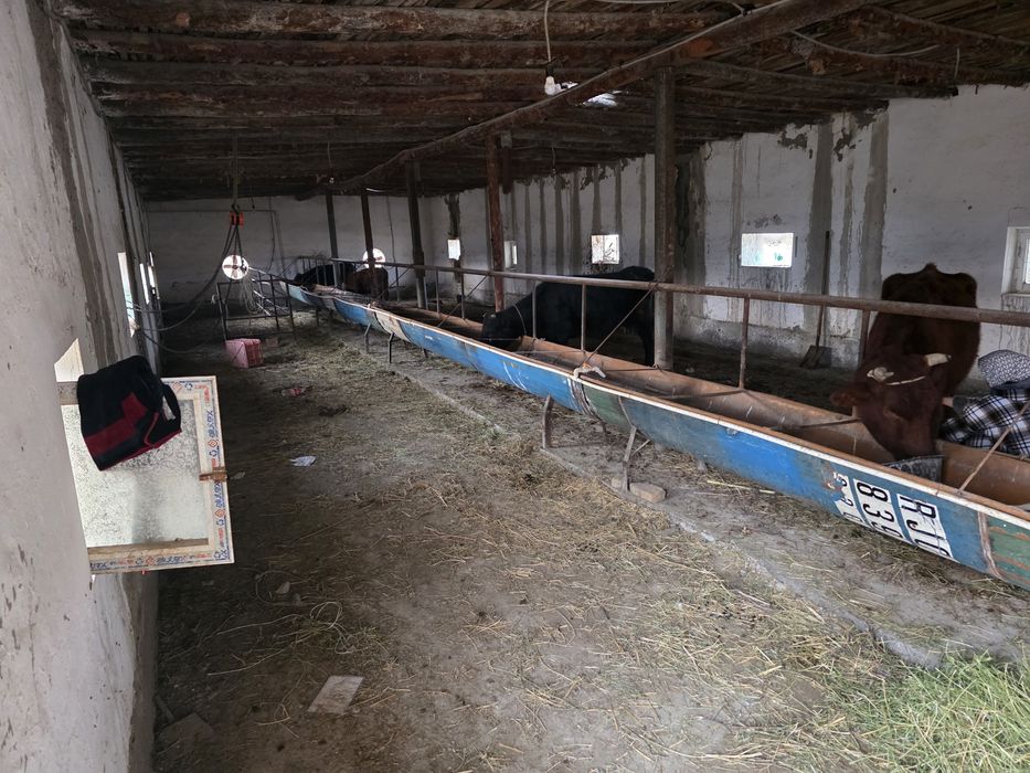 Dacha sotiladi madanyatda