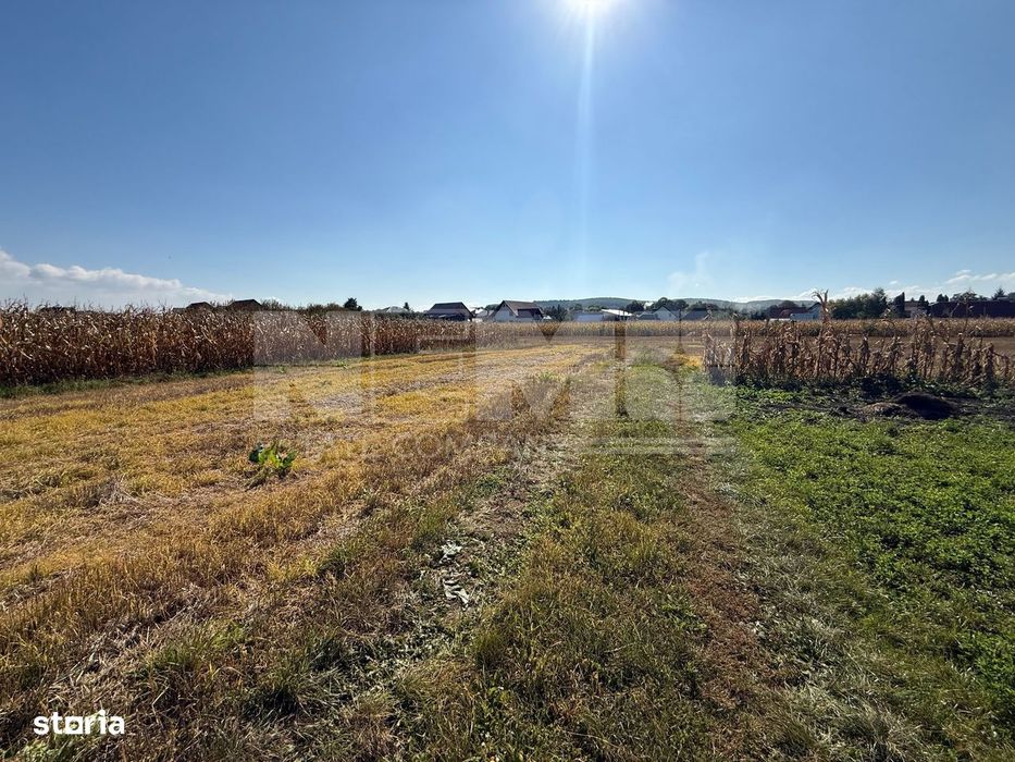 Teren intravilan | Volovat | 2200 mp