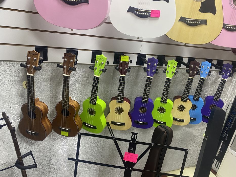 Укулеле, Укуляля Чехол