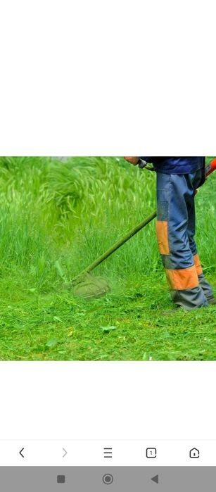 Шоп ору скосить траву