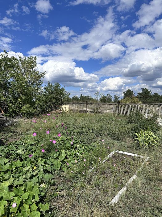 Продам дачу на зерендинских дачах