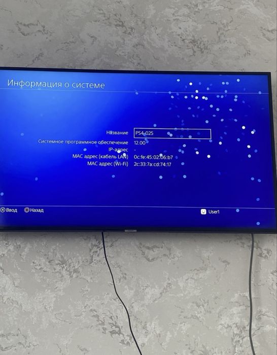 плейстейшн 4 фатт