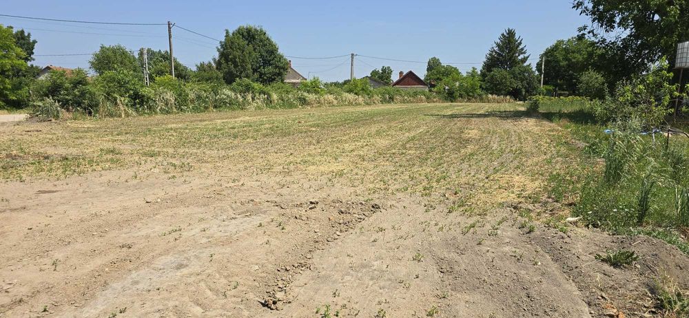 Teren intravilan Niuved 1706 mp