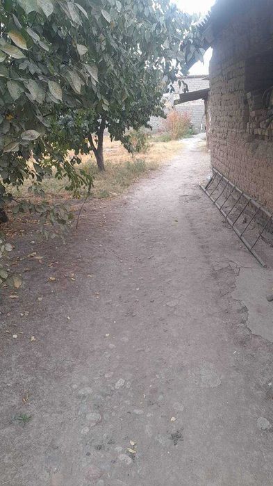 Продажа земли на Тузеле улица Катта бог 15 соток квадратный