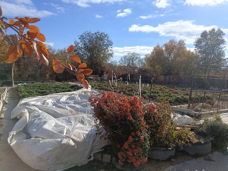 Продам дачу  на Спутнике