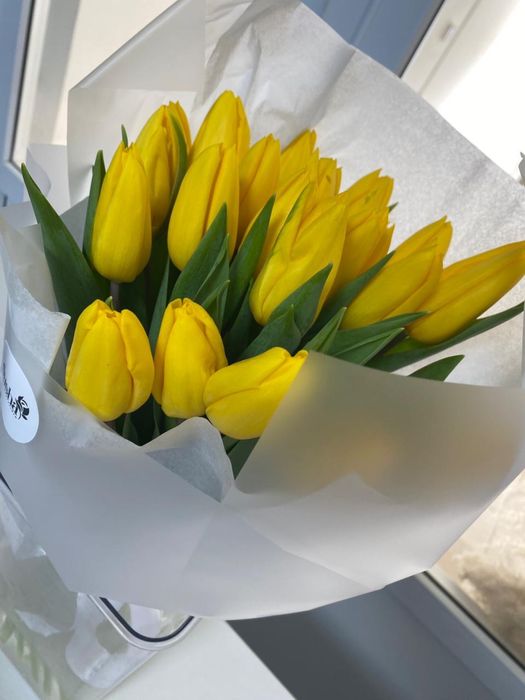 тюльпаны по предзаказу