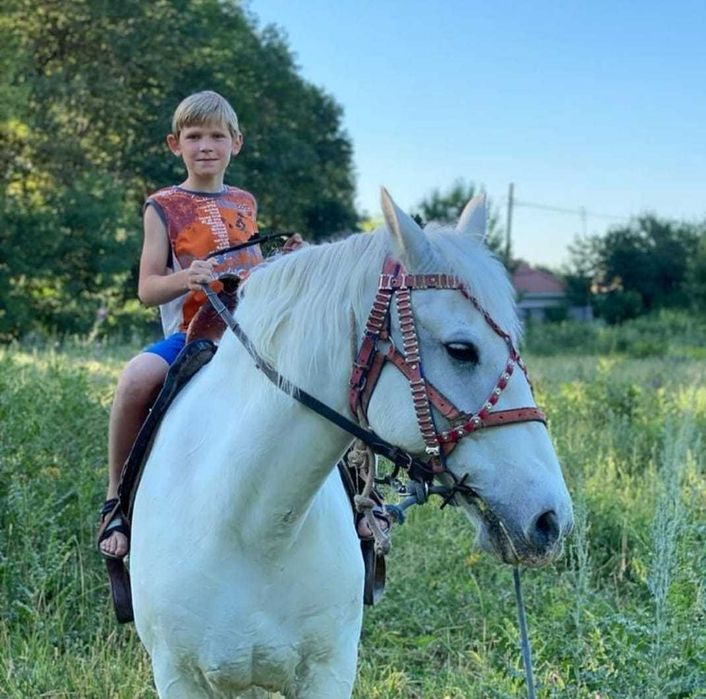 продам пони, кобылу с жеребенком