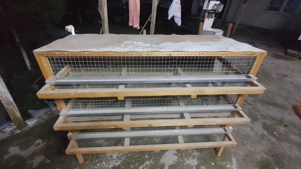 Bedana kataklar sotiladi