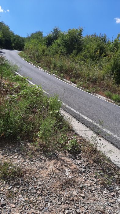 Teren 10000mp in Tomesti