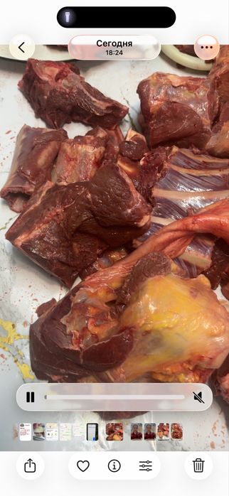 Суп набор күнде свежии келеді