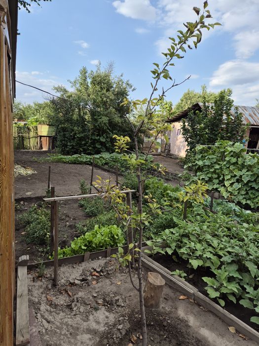 Продам дом  50кв,  8 соток