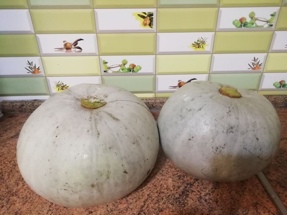 Всё по 250 за 1 кг: тыква, капуста