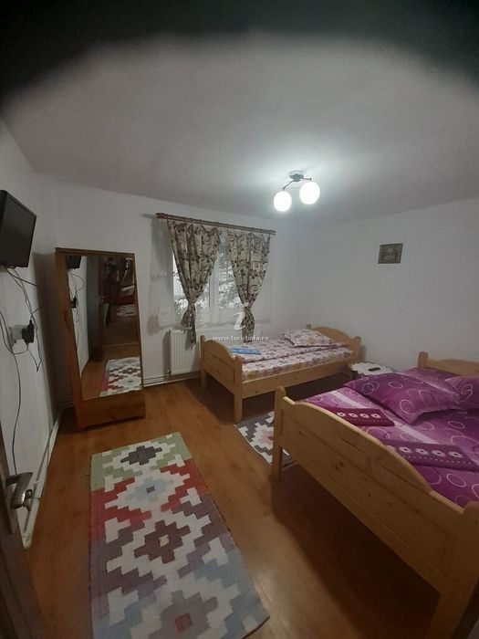 Cabana Armina și Andrei Arieseni