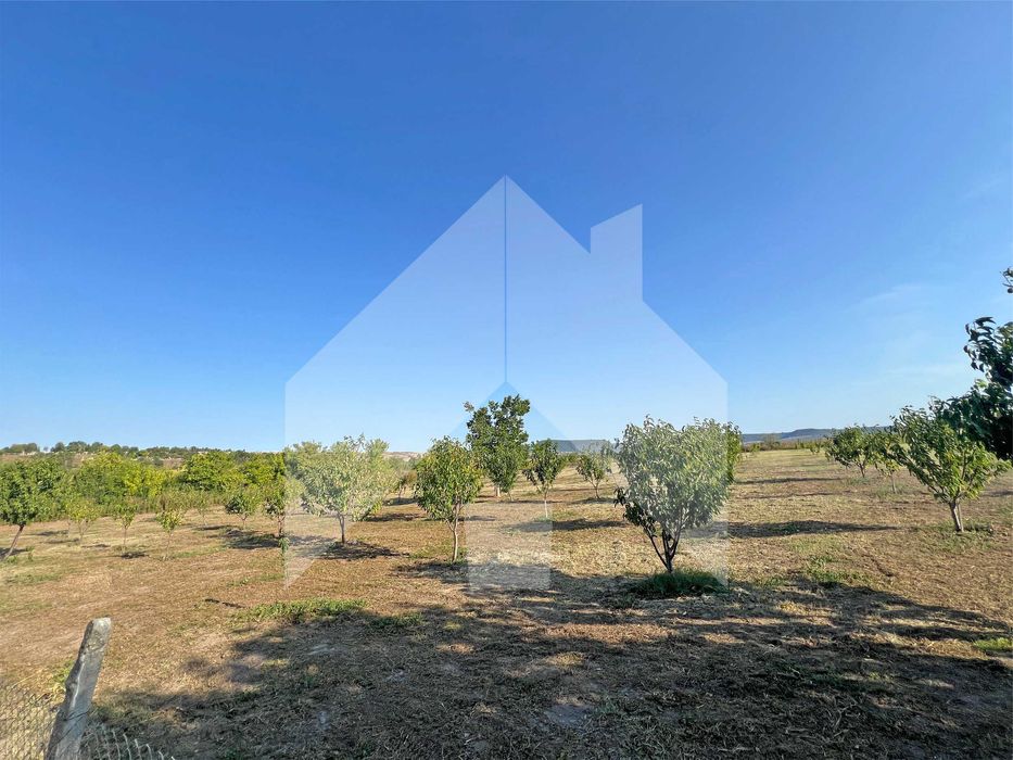 Продава се Земеделски имот в Нови пазар -  кв.м за 2210 €/дка - Снимка #3