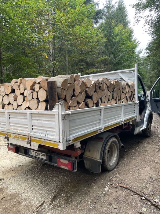 Lemne pentru foc, fag