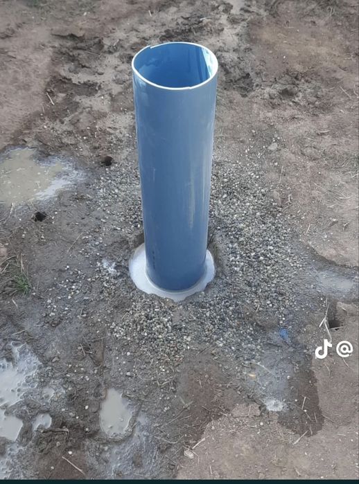 Denisipari puturi