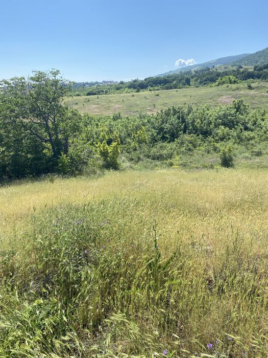 Земеделска земя Белащица/Марково