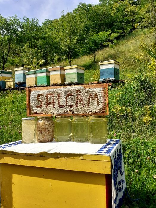 Miere de salcam 2024
