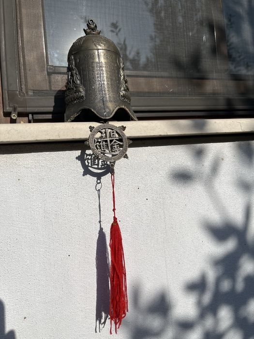 Продавам Китайска хлопка 55лв