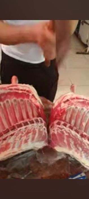 Toʻy va marosimlar uchun mol soʻyib beramiz