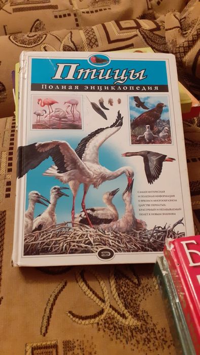 Книги за все  6 книг 6000тг