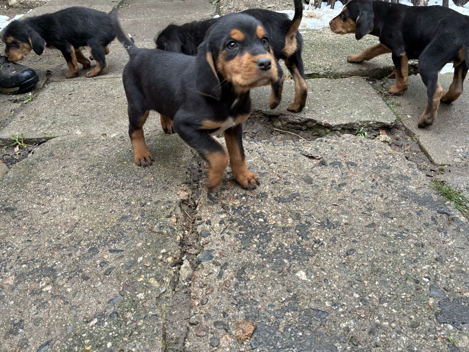 Бараци от работещи родители