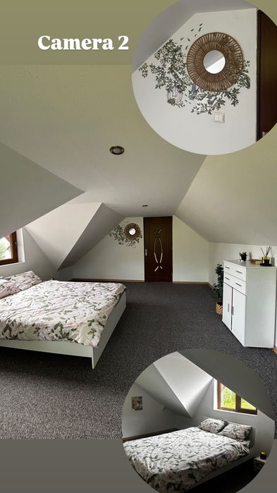 Închiriere cabana