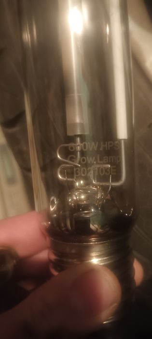 Крушки 600 вата bulds 600 watts