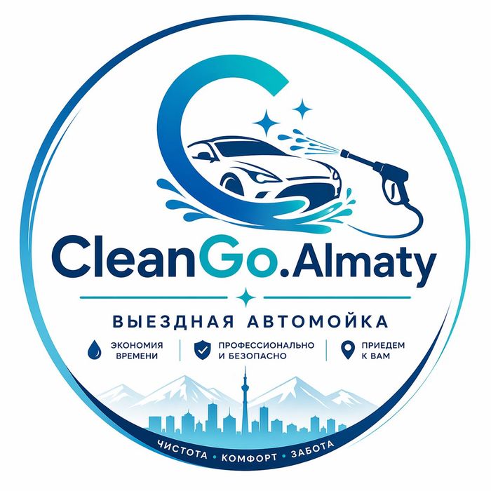 Профессиональная выездная автомойка