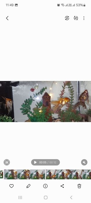 Аквариум с рыбками