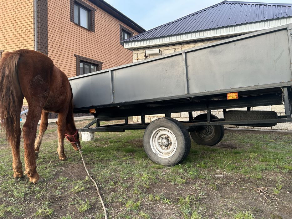 Продам прицеп для авто