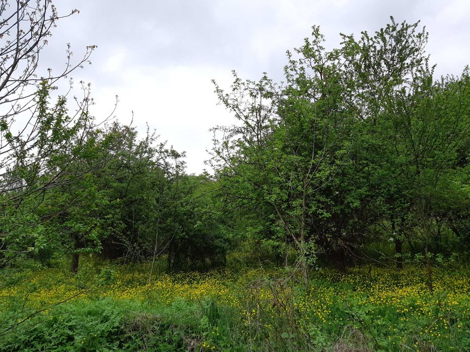 Продавам къща с парцел
с. Звезда, Търговище