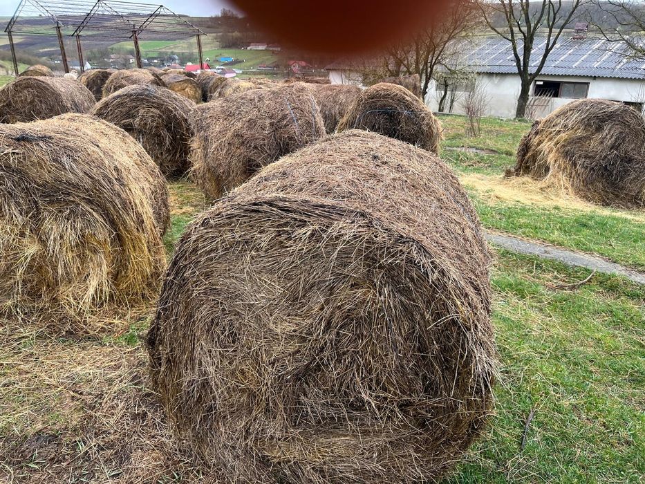 Vând  baloți de fân