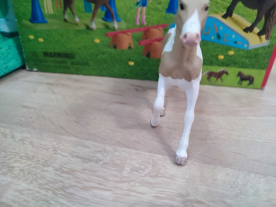 Cai schleich foarte bine îngrijit