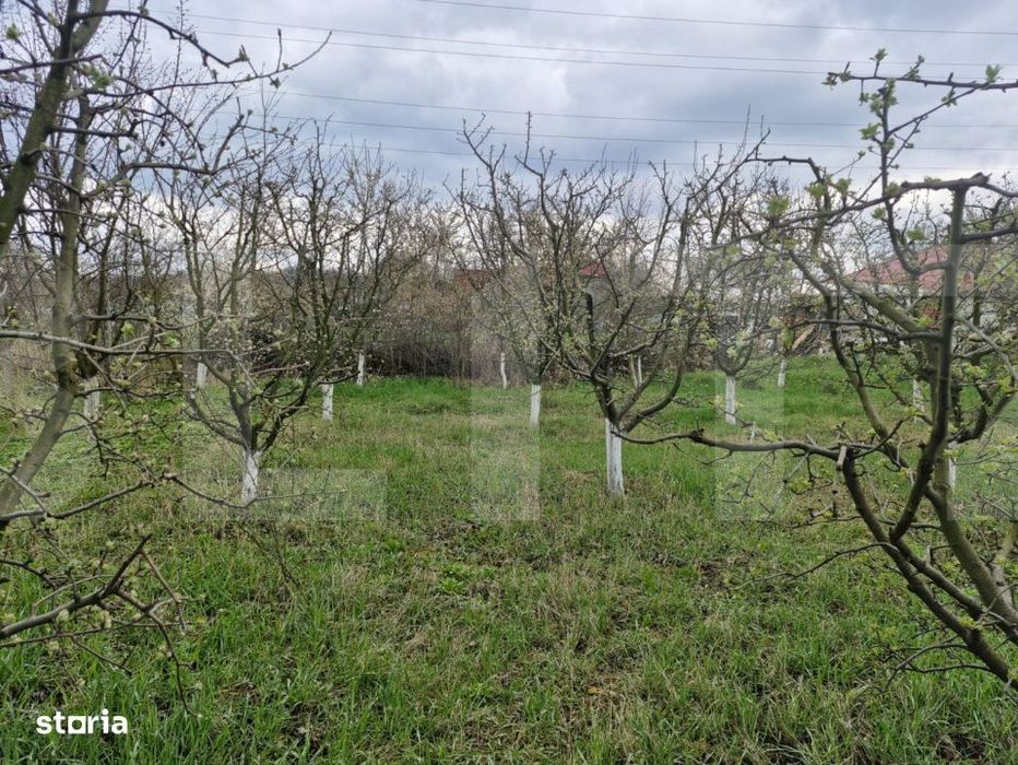 Teren de 2700 mp, deschiderea la strada principala, Borscauti-Dorohoi