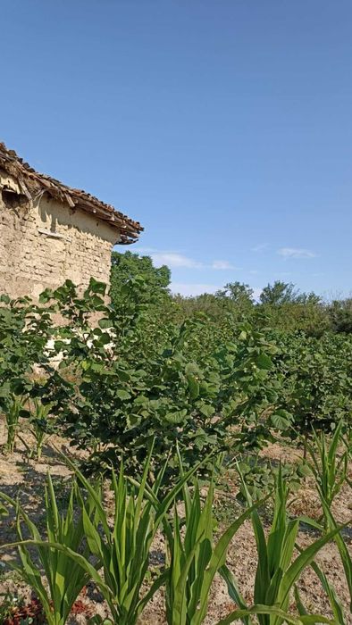 Продава се Къща в с. Мали извор, Област Добрич - 40 кв.м за 319 €/кв.м - Снимка #6