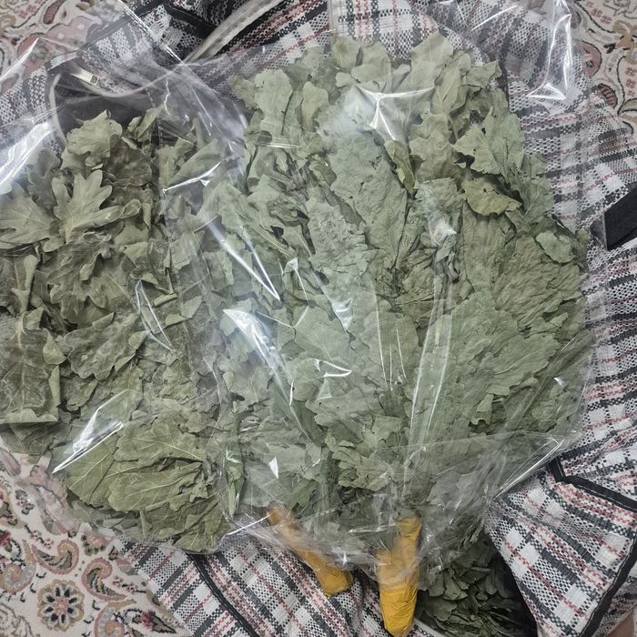 Дубовый банный веник