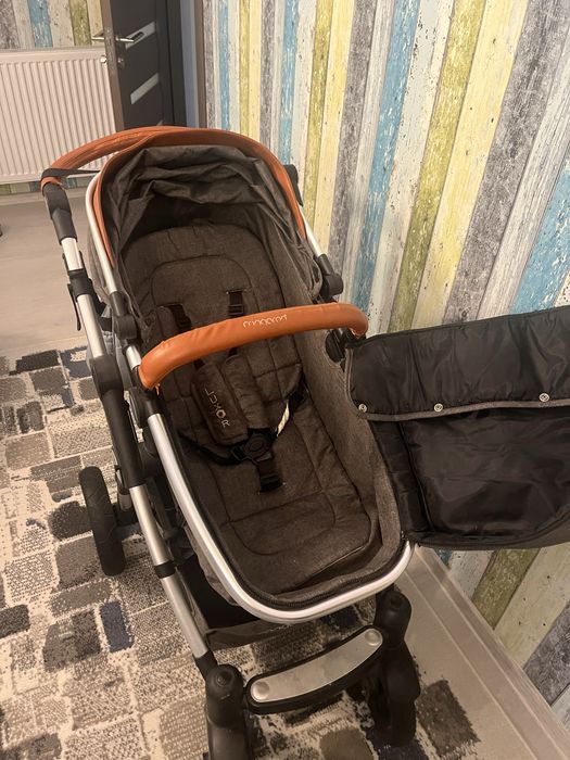 Carut landou si scoica