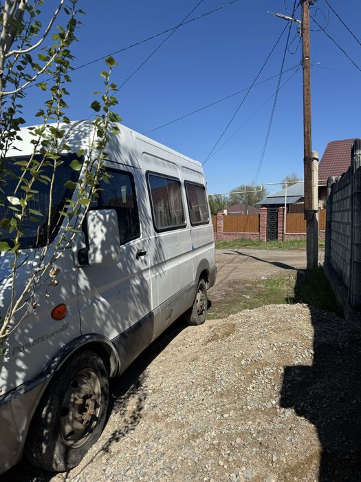 Ивеко дели 10 п м