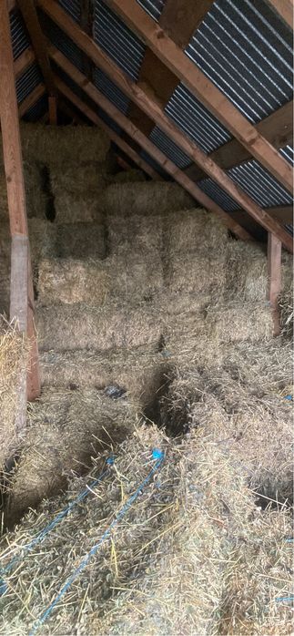 Baloti lucerna coasa 2 si 3