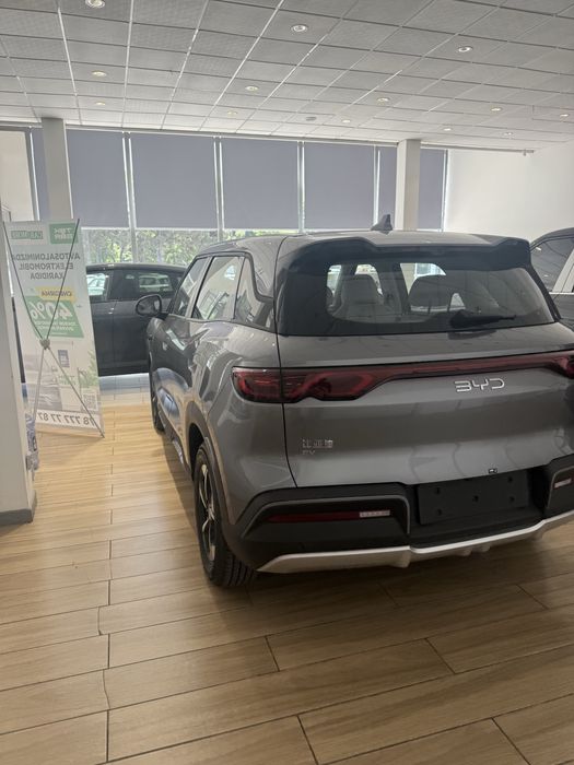 BYD Yuan Up 2025 — 5