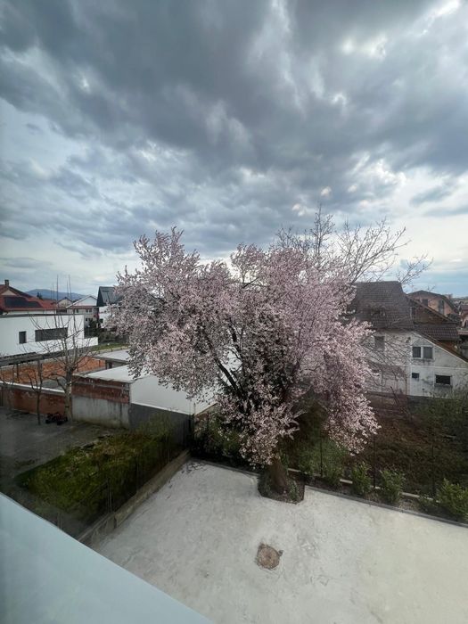 Oportunitate casa de vanzare / inchiriat in zona linistita