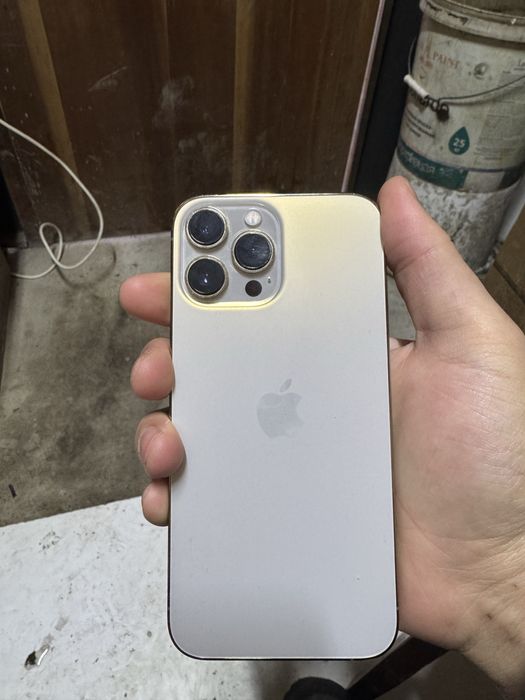 iphone 13 pro max 256 gb 79%