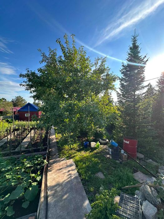 В продаже 3х ком дом Ключевая 43