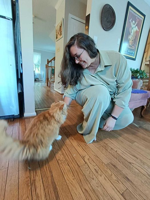 Опитен и грижовен пет ситър: Разходки на кучета и грижа за котки. Pet care, Dog Walking, Cat sitting