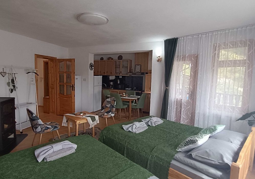 Чепеларе, апартамент, тип студио в къща