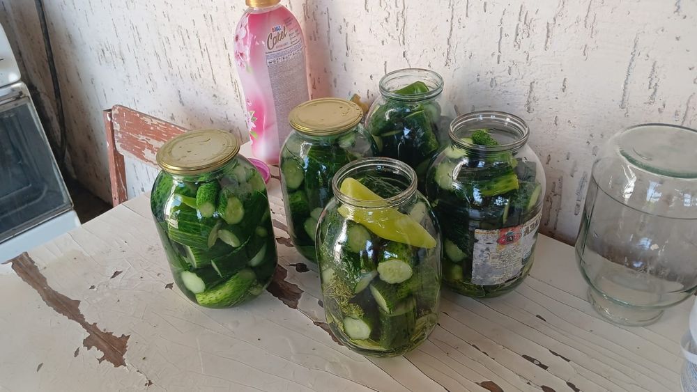 Соление огурцов и помидоров