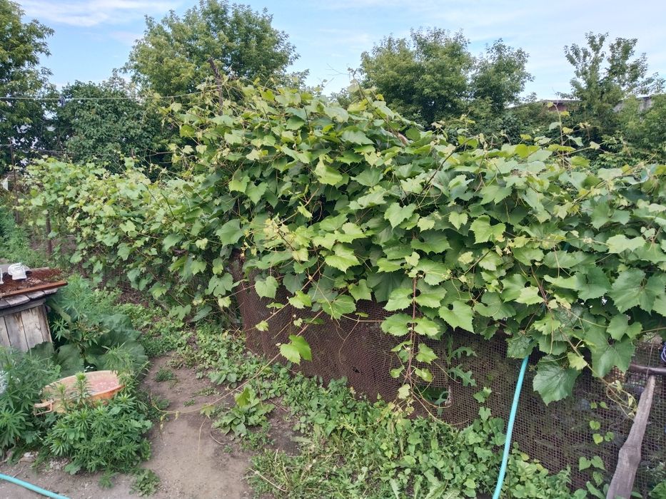 Продается дом по Калинина