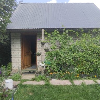 Дача. Заречный 2. Тополек.