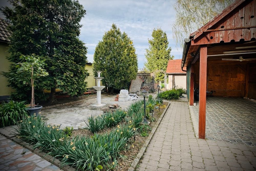 Vând casa în Minis